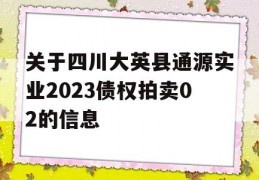 关于四川大英县通源实业2023债权拍卖02的信息