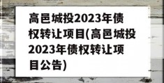 高邑城投2023年债权转让项目(高邑城投2023年债权转让项目公告)