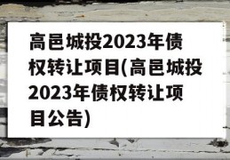 高邑城投2023年债权转让项目(高邑城投2023年债权转让项目公告)