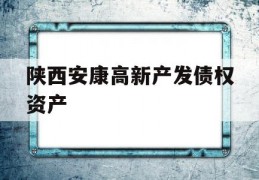 陕西安康高新产发债权资产