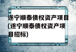 遂宁顺泰债权资产项目(遂宁顺泰债权资产项目招标)