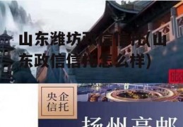 山东潍坊政信信托(山东政信信托怎么样)