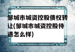 邹城市城资控股债权转让(邹城市城资控股待遇怎么样)