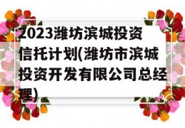 2023潍坊滨城投资信托计划(潍坊市滨城投资开发有限公司总经理)