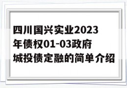 四川国兴实业2023年债权01-03政府城投债定融的简单介绍