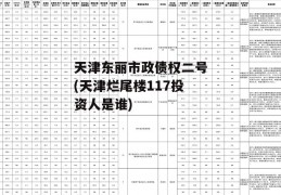 天津东丽市政债权二号(天津烂尾楼117投资人是谁)