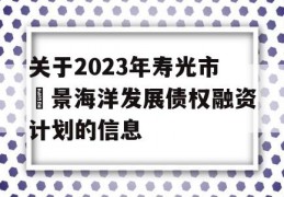 关于2023年寿光市昇景海洋发展债权融资计划的信息