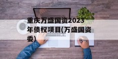 重庆万盛国资2023年债权项目(万盛国资委)