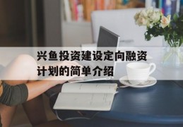 兴鱼投资建设定向融资计划的简单介绍