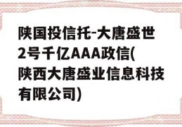 陕国投信托-大唐盛世2号千亿AAA政信(陕西大唐盛业信息科技有限公司)