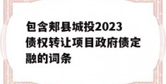 包含郏县城投2023债权转让项目政府债定融的词条