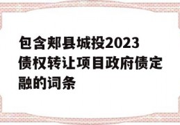 包含郏县城投2023债权转让项目政府债定融的词条