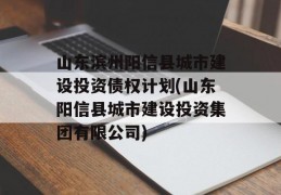 山东滨州阳信县城市建设投资债权计划(山东阳信县城市建设投资集团有限公司)