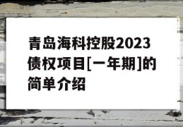 青岛海科控股2023债权项目[一年期]的简单介绍