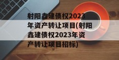 射阳鑫建债权2023年资产转让项目(射阳鑫建债权2023年资产转让项目招标)