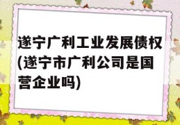 遂宁广利工业发展债权(遂宁市广利公司是国营企业吗)