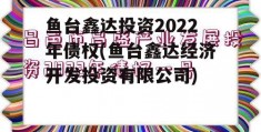 鱼台鑫达投资2022年债权(鱼台鑫达经济开发投资有限公司)