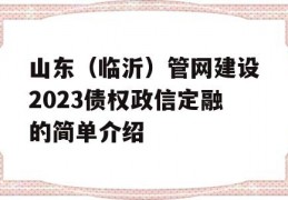 山东（临沂）管网建设2023债权政信定融的简单介绍