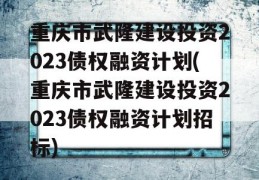 重庆市武隆建设投资2023债权融资计划(重庆市武隆建设投资2023债权融资计划招标)