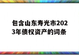 包含山东寿光市2023年债权资产的词条