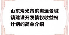 山东寿光市滨海远景城镇建设开发债权收益权计划的简单介绍