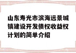 山东寿光市滨海远景城镇建设开发债权收益权计划的简单介绍