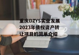 重庆DZYS实业发展2023年债权资产转让项目的简单介绍