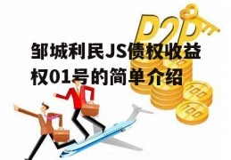 邹城利民JS债权收益权01号的简单介绍