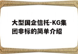 大型国企信托-KG集团非标的简单介绍