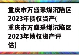 重庆市万盛采煤沉陷区2023年债权资产(重庆市万盛采煤沉陷区2023年债权资产评估)