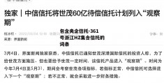 包含央企信托-361号浙江HZ集合信托的词条