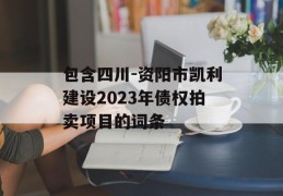 包含四川-资阳市凯利建设2023年债权拍卖项目的词条