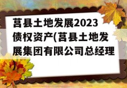 莒县土地发展2023债权资产(莒县土地发展集团有限公司总经理)