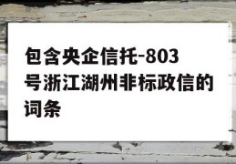 包含央企信托-803号浙江湖州非标政信的词条