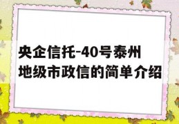 央企信托-40号泰州地级市政信的简单介绍