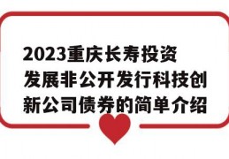 2023重庆长寿投资发展非公开发行科技创新公司债券的简单介绍