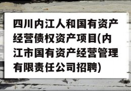 四川内江人和国有资产经营债权资产项目(内江市国有资产经营管理有限责任公司招聘)