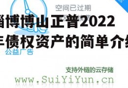 淄博博山正普2022年债权资产的简单介绍