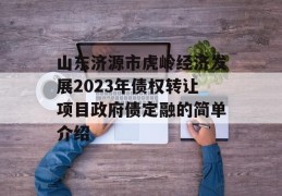 山东济源市虎岭经济发展2023年债权转让项目政府债定融的简单介绍