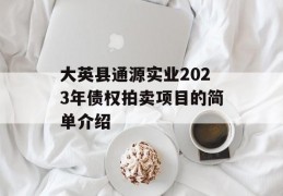 大英县通源实业2023年债权拍卖项目的简单介绍