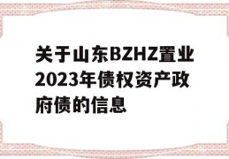 关于山东BZHZ置业2023年债权资产政府债的信息