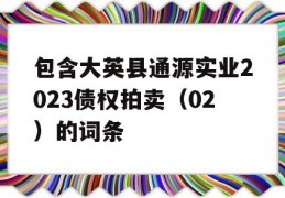 包含大英县通源实业2023债权拍卖（02）的词条