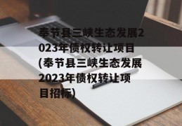 奉节县三峡生态发展2023年债权转让项目(奉节县三峡生态发展2023年债权转让项目招标)