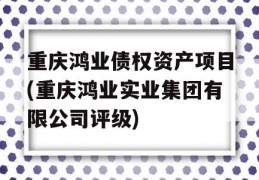 重庆鸿业债权资产项目(重庆鸿业实业集团有限公司评级)