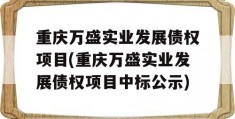 重庆万盛实业发展债权项目(重庆万盛实业发展债权项目中标公示)