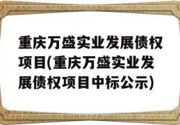 重庆万盛实业发展债权项目(重庆万盛实业发展债权项目中标公示)