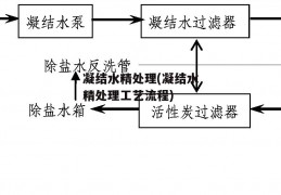 凝结水精处理(凝结水精处理工艺流程)