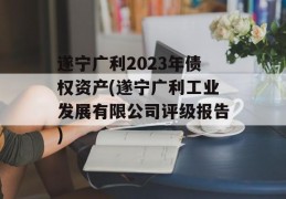 遂宁广利2023年债权资产(遂宁广利工业发展有限公司评级报告)