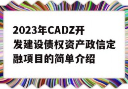 2023年CADZ开发建设债权资产政信定融项目的简单介绍