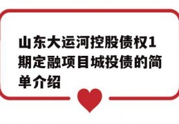 山东大运河控股债权1期定融项目城投债的简单介绍